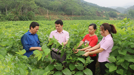 Hơn 733.000 tỷ đồng cho vay tín dụng chính sách xã hội