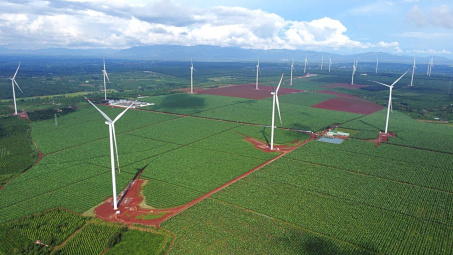 Toàn bộ mảng điện gió được yêu cầu cấp thông tin, cổ phiếu GEG - Điện Gia Lai “nằm sàn”