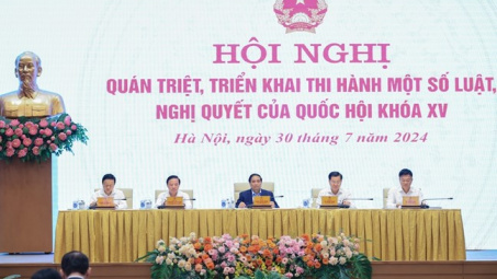 Khẩn trương ban hành kế hoạch triển khai thi hành luật, nghị quyết của Quốc hội
