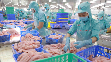 Đa Quốc Gia IDI nâng vốn điều lên hơn 2.700 tỷ đồng, tự tin hoàn thành mục tiêu lãi năm nay