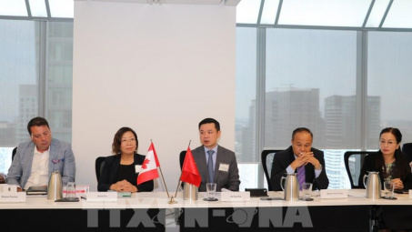 Nhiều cơ hội để doanh nghiệp Việt Nam hợp tác với các doanh nghiệp Canada