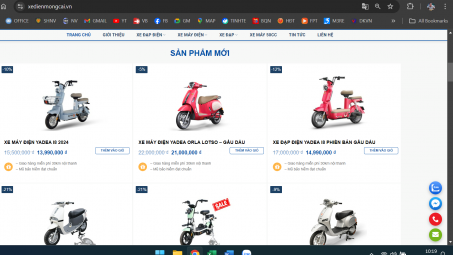 Quảng Ninh: Xử phạt 02 cơ sở vi phạm thương mại điện tử số tiền 60 triệu đồng