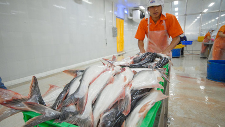 Xuất khẩu sang Mỹ bứt phá, doanh thu tháng 7 của Thủy sản Vĩnh Hoàn (VHC) tăng 30%