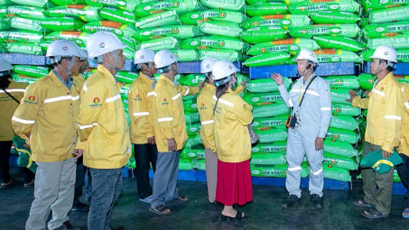 Đẩy mạnh xuất khẩu, Đạm Cà Mau (DCM) chiếm 18% tổng lượng phân bón xuất khẩu cả nước