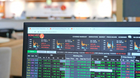 Dòng tiền nhập cuộc, thị trường chứng khoán đã “bùng nổ theo đà”?