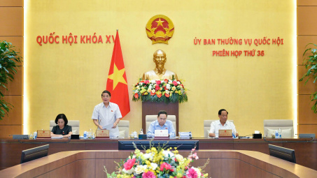 Ủy ban Thường vụ Quốc hội cho ý kiến về dự án Luật Điện lực (sửa đổi)