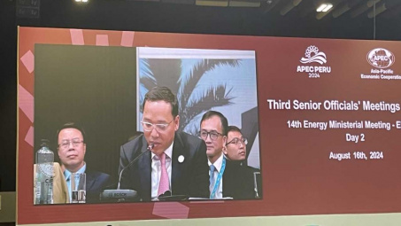 Hội nghị Bộ trưởng năng lượng APEC lần thứ 14: Hướng tới khu vực APEC phát thải ít carbon hơn