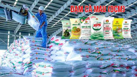 Đạm Cà Mau (DCM ): Đẩy mạnh xuất khẩu, chiếm 18% tổng lượng phân bón xuất khẩu cả nước