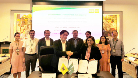 Công ty CP Phân bón Bình Điền ký kết hợp tác với Viện Nghiên cứu Lúa gạo Quốc tế IRRI