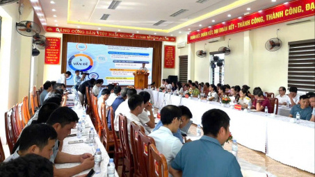 Xây dựng Hệ sinh thái ngành quế tận dụng các FTA