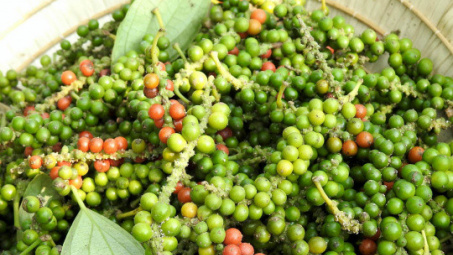 Giá tiêu hôm nay 24/8: Có nên thành lập Sàn giao dịch Hàng hoá, trong đó có mặt hàng hồ tiêu?