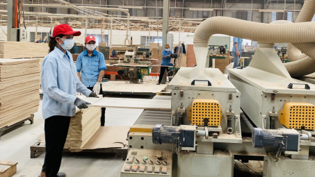 Quy hoạch lâm nghiệp quốc gia: Ưu tiên xây dựng 1 trung tâm giao dịch sản phẩm gỗ quốc tế