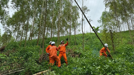 EVNNPC sẵn sàng các phương án đảm bảo cung cấp điện dịp nghỉ Lễ 2/9
