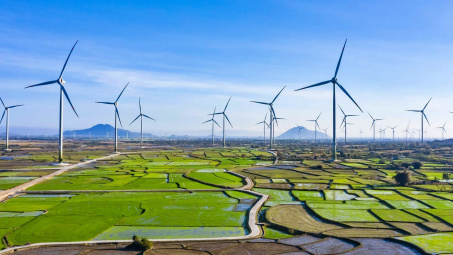 Quy chế tổ chức, hoạt động của Hội đồng quốc gia về phát triển bền vững