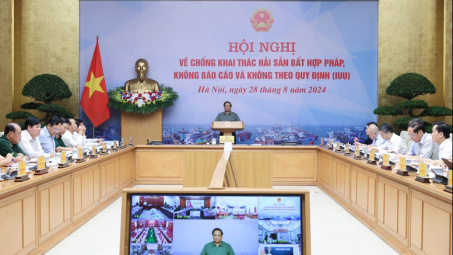 Chống khai thác IUU: Điều tra, xét xử nghiêm khắc 100% vụ việc vi phạm