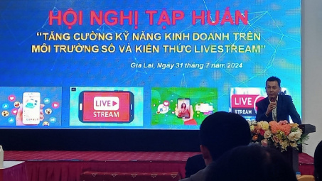 Gia Lai tập huấn kỹ năng kinh doanh trên môi trường số và kiến thức livestream