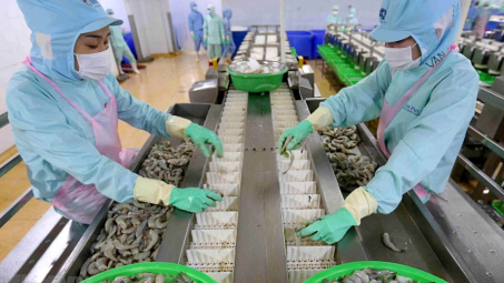 “Vua tôm” Minh Phú sắp phát hành hơn 1 triệu cổ phiếu ESOP