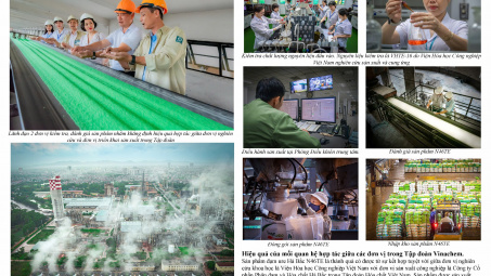 Gần 400 tác phẩm tham gia Cuộc thi “Nét đẹp Vinachem”