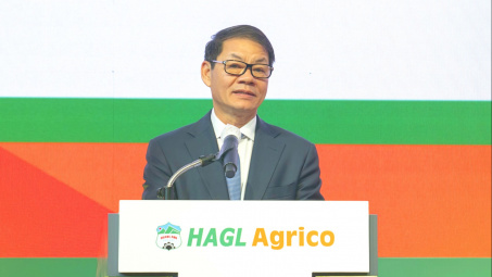 HAGL Agrico (HNG) sẽ làm gì để xử lý khoản lỗ luỹ kế hơn 8.400 tỷ đồng?