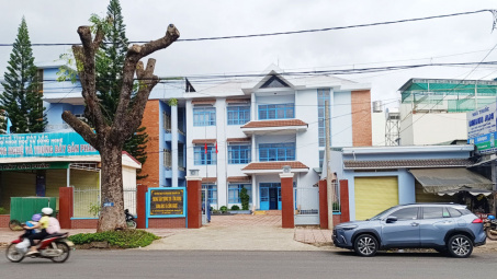 Trung tâm Thông tin Ứng dụng Khoa học và Công nghệ Đắk Lắk: Sử dụng hiệu quả các nguồn lực