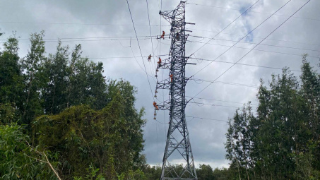 Khắc phục nhanh chóng sự cố cháy tại Trạm biến áp 220kV Cai Lậy