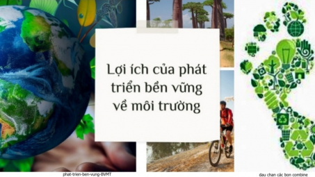 Với CSRD doanh nghiệp cần quan tâm thực hành phát triển bền vững chứ không chỉ là “dấu chân” môi trường