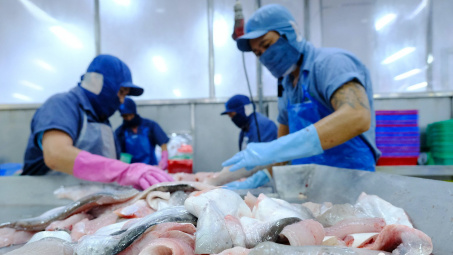 Thủy sản Vĩnh Hoàn (VHC) là nhà xuất khẩu cá tra Việt Nam lớn nhất tại Anh