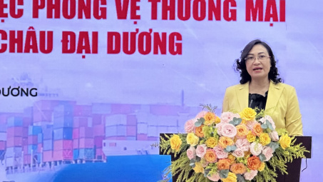 Nâng cao năng lực ứng phó với các vụ việc phòng vệ thương mại tại thị trường châu Á, châu Phi và châu Đại Dương