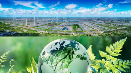 Kinh nghiệm quốc tế và những tham vấn Danh mục phân loại xanh tại Việt Nam