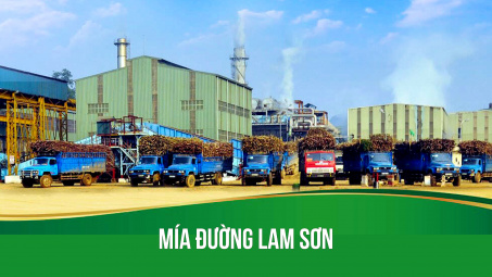 Lo ngại giá đường giảm, Mía đường Lam Sơn (LSS) thận trọng lập mục tiêu kinh doanh