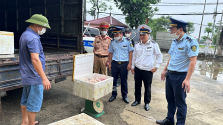 Sở NN&PTNT Hà Nội: Thanh tra 138 vụ vi phạm về vệ sinh an toàn thực phẩm và vật tư nông nghiệp