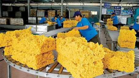 Thị giá tăng 65%, Dakruco quyết tâm thoái vốn khỏi Đầu tư Cao su Đắk Lắk (DRI)