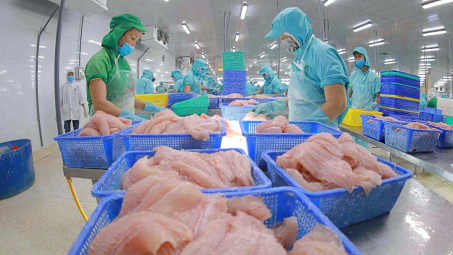 Thủy sản Nam Việt (ANV) tiến gần đến mục tiêu doanh nghiệp cá tra niêm yết có quy mô lớn nhất