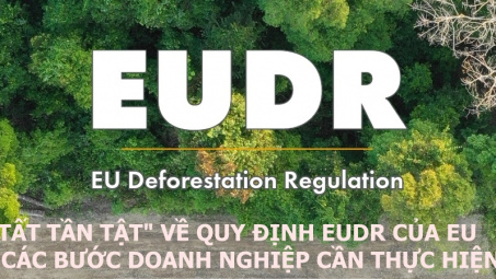 [Emagazine] “Tất tần tật” về Quy định EUDR của EU và các bước doanh nghiệp cần thực hiện