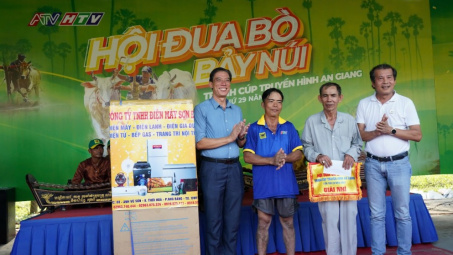 Công ty CP Phân bón Bình Điền đồng hành cùng Hội đua bò Bảy Núi, tỉnh An Giang năm 2024
