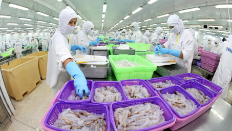 Thực phẩm Sao Ta (FMC): “Đánh bắt gần bờ” giúp xuất khẩu tôm bứt phá