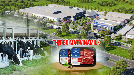 Không chỉ còn kinh doanh sữa, Vinamilk (VNM) chuẩn bị mở bán sản phẩm thịt bò mát