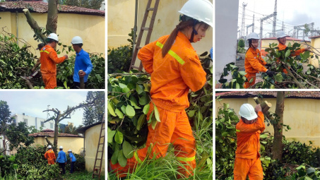 PTC1 vào cuộc ứng phó khẩn cấp với siêu bão YAGI
