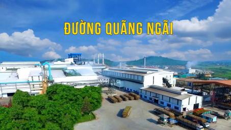 Cháy rừng dữ dội tại Brazil, kỳ vọng Đường Quảng Ngãi (QNS) tăng tốc