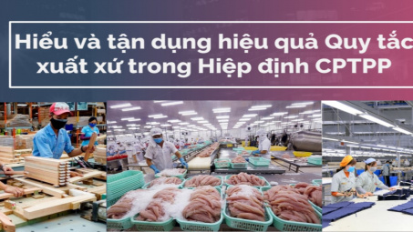 Hiểu và tận dụng hiệu quả Quy tắc xuất xứ trong Hiệp định CPTPP