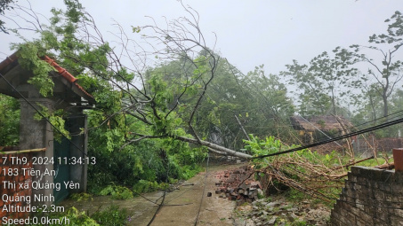 Tổng công ty Điện lực miền Bắc ứng trực, xử lý kịp thời các sự cố do bão số 3 Yagi