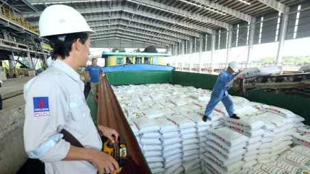 Bất chấp khó khăn, doanh nghiệp phân bón Việt Nam vẫn “sống khoẻ” trong năm 2025?