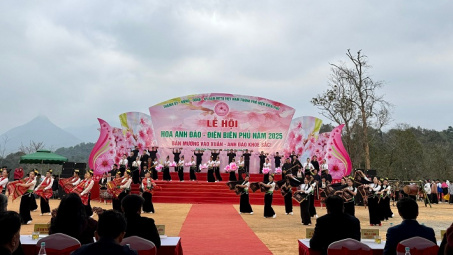 Khai mạc Lễ hội hoa Anh đào - Điện Biên Phủ năm 2025