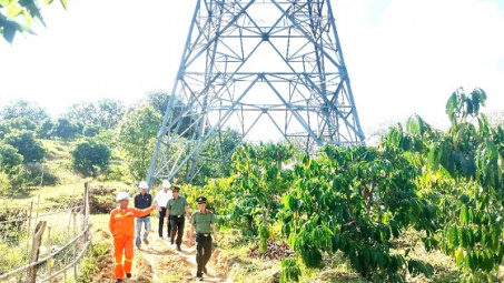 Truyền tải điện Đắk Nông: Quyết tâm vận hành an toàn, ổn định dịp Xuân Ất Tỵ