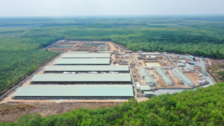 BaF Việt Nam (BAF): M&A 11 công ty chăn nuôi, tích cực “săn” quỹ đất trang trại