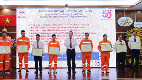 EVNSPC hoàn thành xuất sắc, toàn diện nhiệm vụ năm 2024
