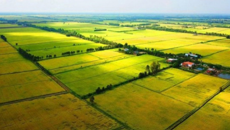 Thời hiệu khởi kiện tranh chấp đất đai