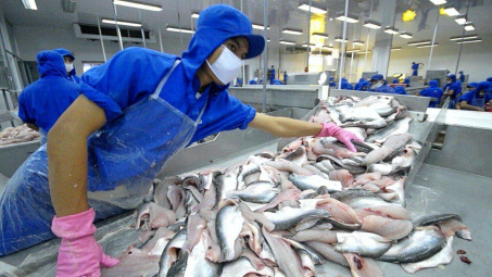 Cá tra, basa của Thủy sản Vĩnh Hoàn (VHC) "rộng cửa" vào thị trường Hoa Kỳ sau thỏa thuận về dỡ bỏ thuế chống bán phá giá