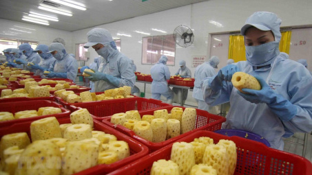 Tác động của tín dụng thương mại đến khả năng sinh lời của các công ty ngành thực phẩm niêm yết trên thị trường chứng khoán tại Việt Nam