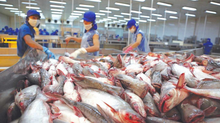 Thuỷ sản Vĩnh Hoàn (VHC): Thị trường nội địa vươn lên dẫn đầu, xuất khẩu sang Mỹ tăng tốc